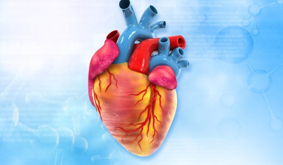How to Keep Your Heart Healthy