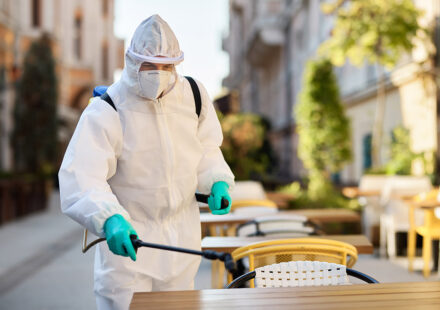 Pest Control: Complete Guide to Services, Methods, and Industry Categories