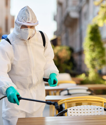 Pest Control: Complete Guide to Services, Methods, and Industry Categories